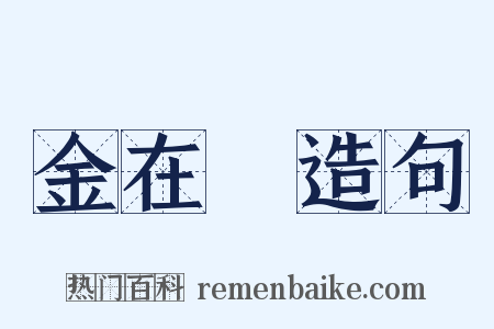 金在镕造句是什么意思的图片
